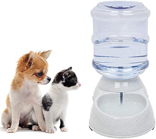 Pet water fountain with a dog and cat sitting next to it on a white background