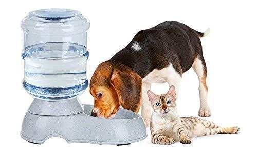 Pet water fountain with a dog and cat drinking from it on a white background